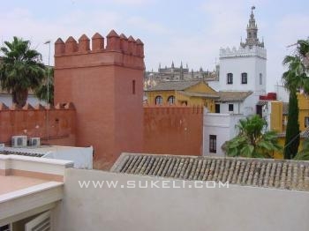 Apartment for rent - Sevilla - Sevilla - Santa cruz - 242 €