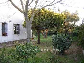 Chalet for sale  - Sevilla - Palomares del rio - 400.000 €